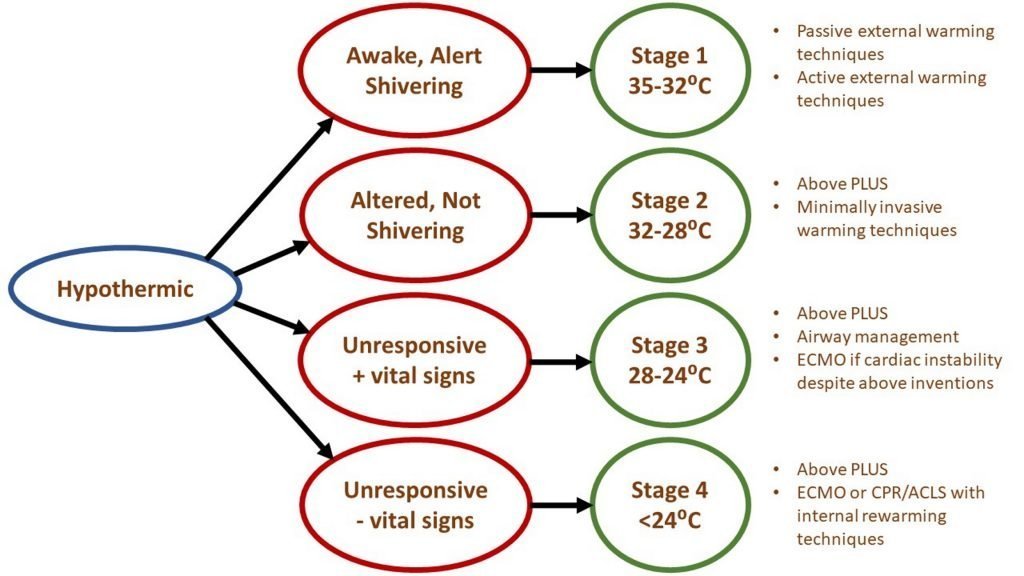 A Case and Discussion of Accidental Hypothermia in the Setting of ...